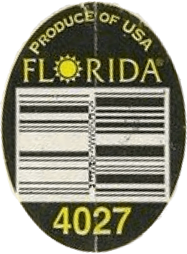 sticker-Florida #4027