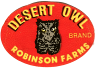 sticker-Desert Owl
